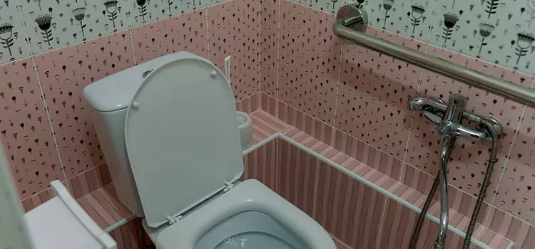 Meeting Diverse Needs With Accessible Restroom Solutions in Parkville, MD
