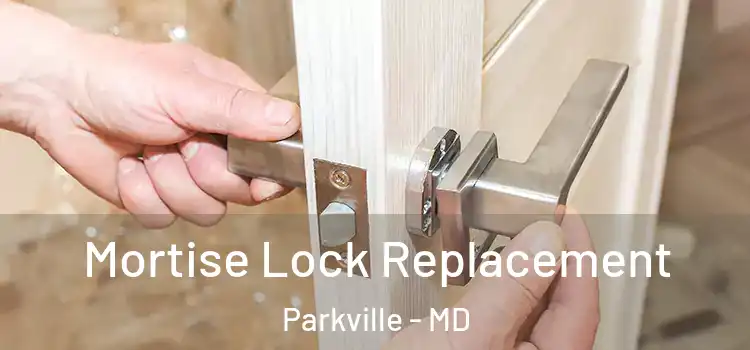 Mortise Lock Replacement Parkville - MD